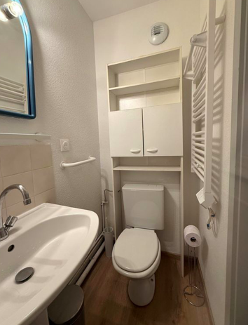 Salle de bain Studio, 1 Pièce · 17 m²· Strasbourg 67000 · Quartier Centre à Strasbourg