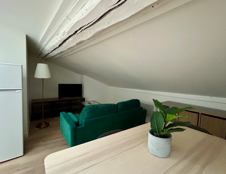 Salle de bain Appartement, 490 € charges comprises, 3 Pièces · 53 m² · Saint-Étienne 42000 · Quartier Saint-Roch - Vivaraize - Valbenoite - Centre Deux à Saint-Étienne