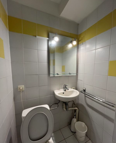 Salle de bain Studio 490 € charges comprises, 1 Pièce · 17 m² · Strasbourg 67000 · Quartier Krutenau à Strasbourg