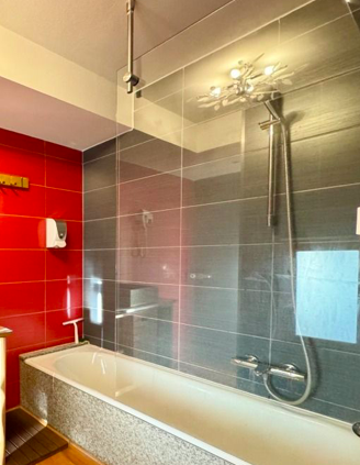 Salle de bain Appartement 530 € charges comprises, 1 Pièce · 25 m²· Colmar 68000 · Quartier Centre-ville à Colmar