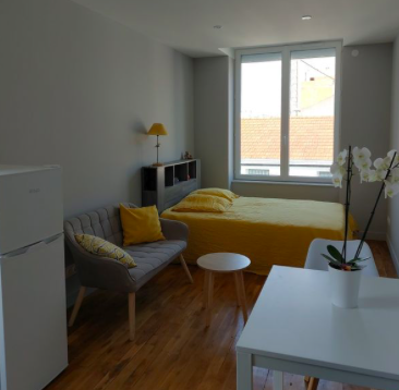 Salle de bain Studio 490 € charges comprises, 1 Pièce · 19 m² · Clermont-Ferrand 63000 · Quartier Oradou à Clermont-Ferrand