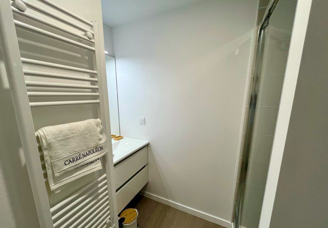 Salle de bain Studio 547 €, 1 Pièce · 22 m² · La Roche-sur-Yon 85000 · Quartier Pentagone - Pont-Morineau à La Roche-sur-Yon